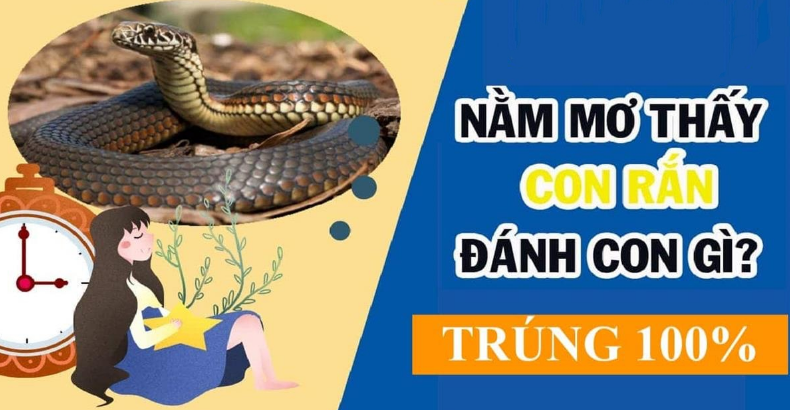 Giải mã giấc mơ thấy rắn trắng - Con số may mắn