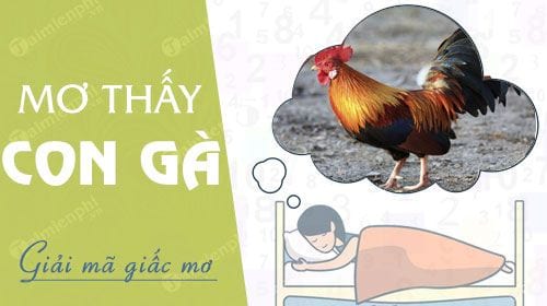 Mơ thấy gà rừng bị chính mình bắt